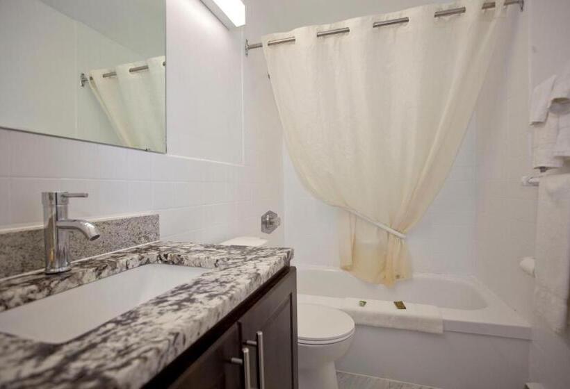 فندق صغير Rodeway Inn