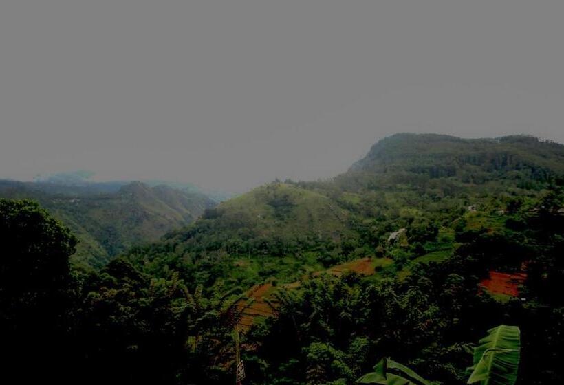 فندق صغير The Dream Inn