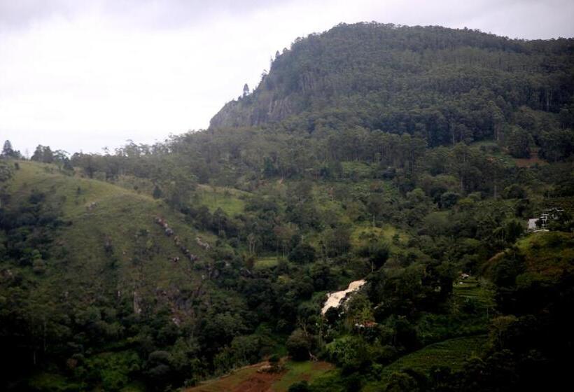 فندق صغير The Dream Inn