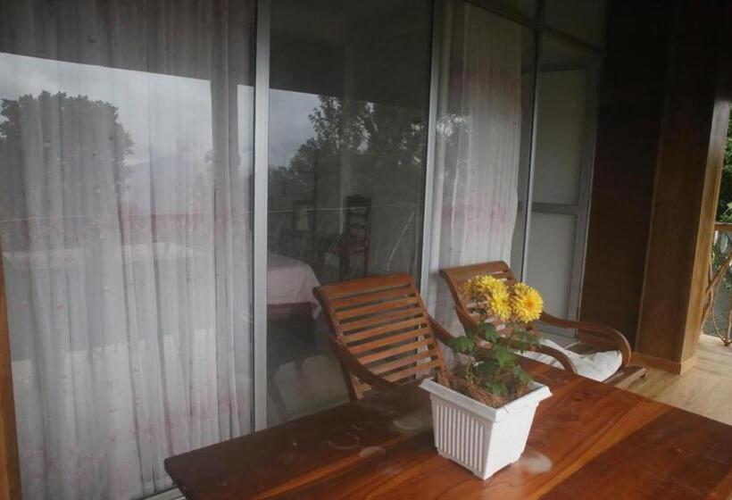 فندق صغير The Dream Inn