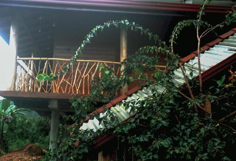 فندق صغير The Dream Inn