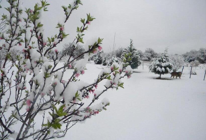 ユースホステル Wayra Pampa Posada & Aparts