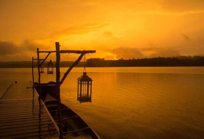 فندق صغير Wolf Cove Inn