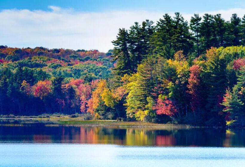 فندق صغير Wolf Cove Inn