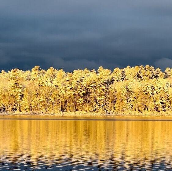 فندق صغير Wolf Cove Inn