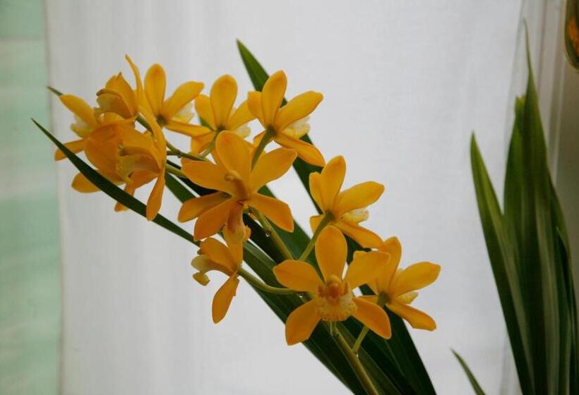 B&b Bel Natura   Couette Et Café