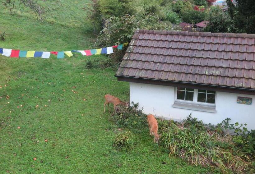 B&b Sigrid Braun Budde