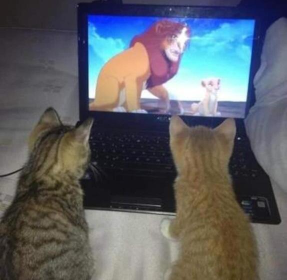 Bed and Breakfast Skihaus Bergheimat   Apartment Zur Piste   Selbstversorgung Oder Ums Eck Gibt Es Ein Gutes Frühstück