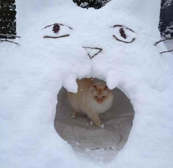 Bed and Breakfast Skihaus Bergheimat   Apartment Zur Piste   Selbstversorgung Oder Ums Eck Gibt Es Ein Gutes Frühstück