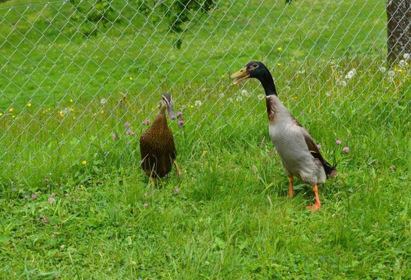 Bed and Breakfast Skihaus Bergheimat   Apartment Zur Piste   Selbstversorgung Oder Ums Eck Gibt Es Ein Gutes Frühstück