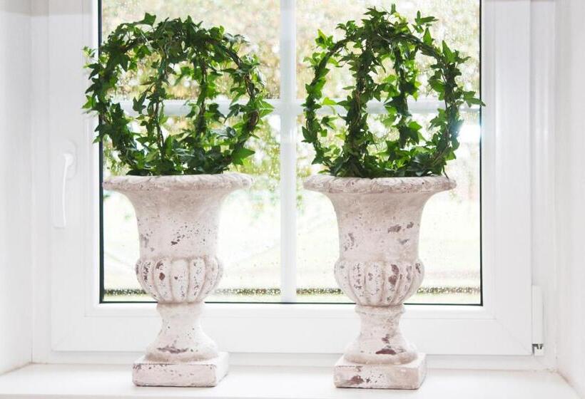 Bed And Breakfast 33