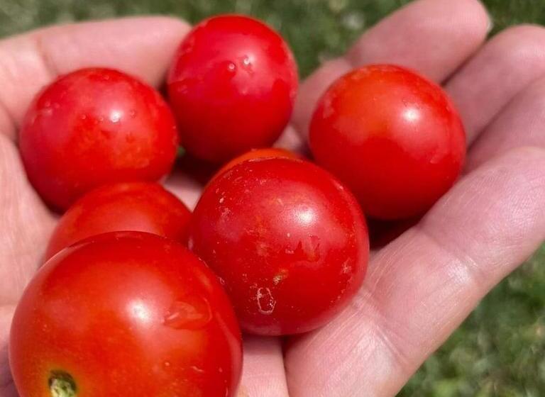 צימר Cascina Valtignosa Camere Con Vigna