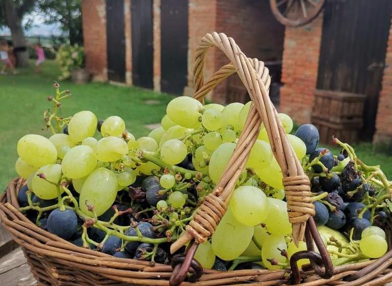 צימר Cascina Valtignosa Camere Con Vigna