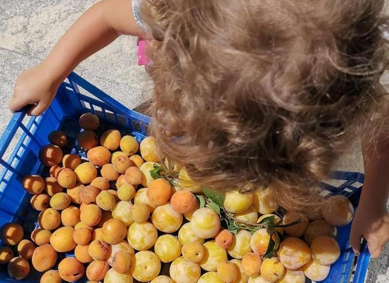 مبيت وإفطار Cascina Valtignosa Camere Con Vigna
