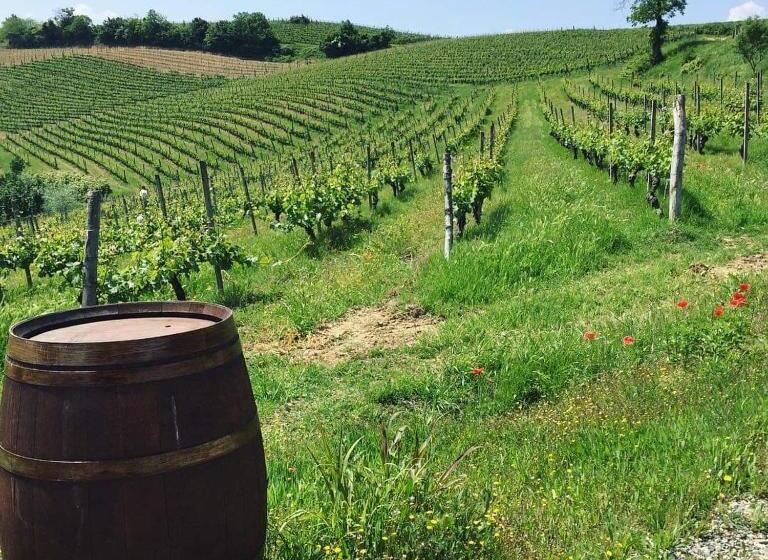 צימר Cascina Valtignosa Camere Con Vigna