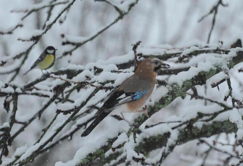 住宿加早餐 Couleurs Nature