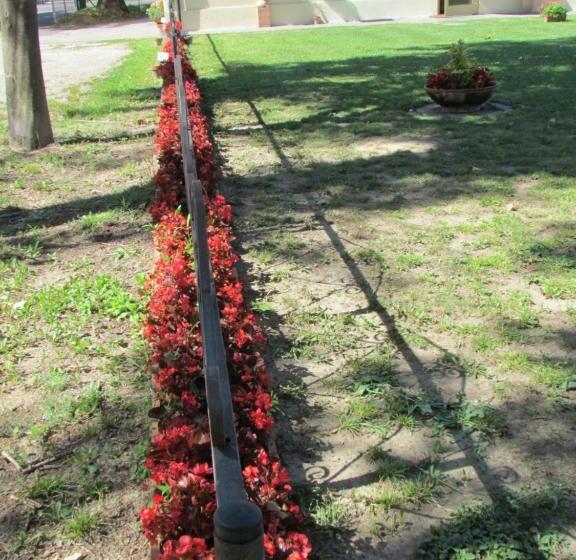 住宿加早餐  Fondo Riso