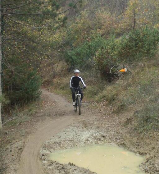 住宿加早餐  Fondo Riso