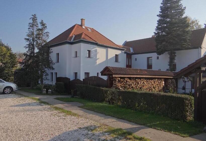 Bed and Breakfast Holló Panzió