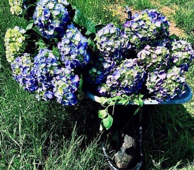 Bed and Breakfast Les Chambres D Hôtes Du Bois Joli