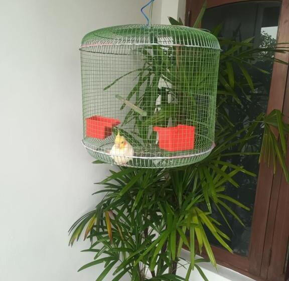 Bed and Breakfast Lovely Flowers In Mount Lavinia