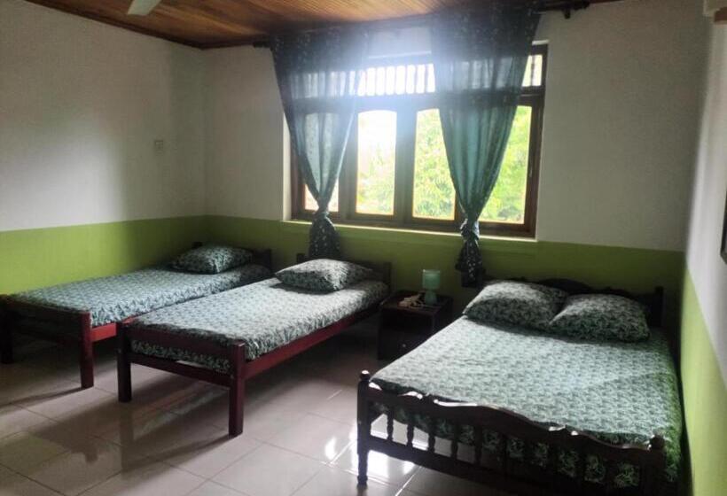 Bed and Breakfast Lovely Flowers In Mount Lavinia