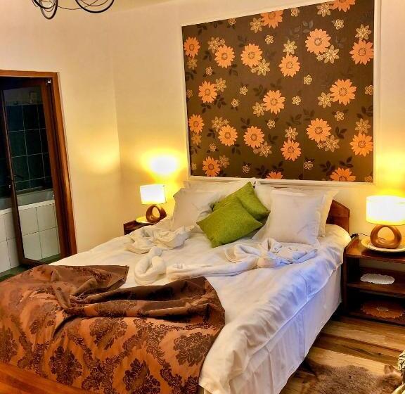 住宿加早餐 Pensiunea Portas Resort