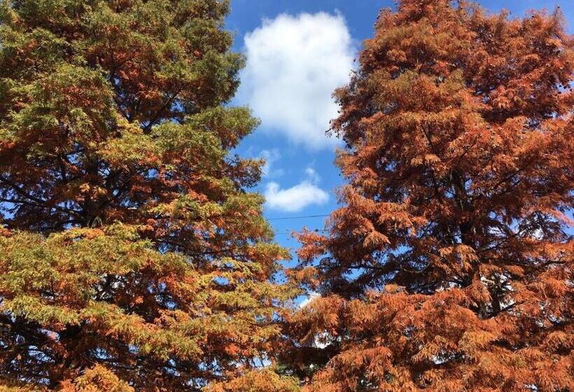 住宿加早餐  Posada Del Leñatero Ezeiza