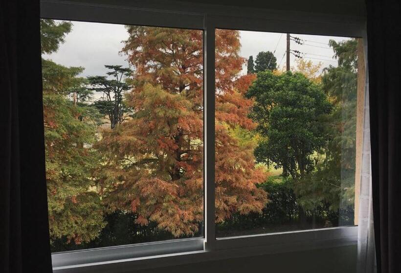 住宿加早餐  Posada Del Leñatero Ezeiza