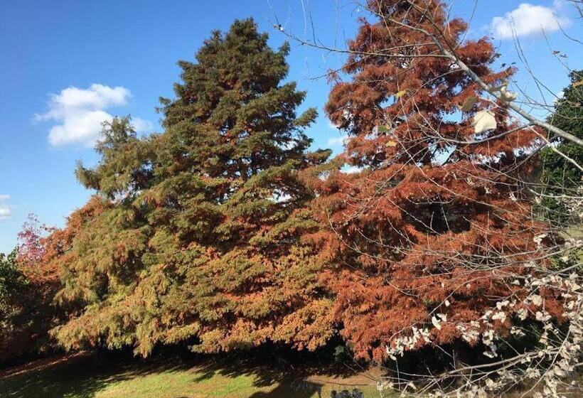 住宿加早餐  Posada Del Leñatero Ezeiza