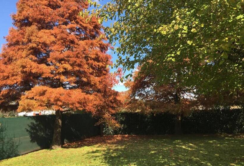 住宿加早餐  Posada Del Leñatero Ezeiza