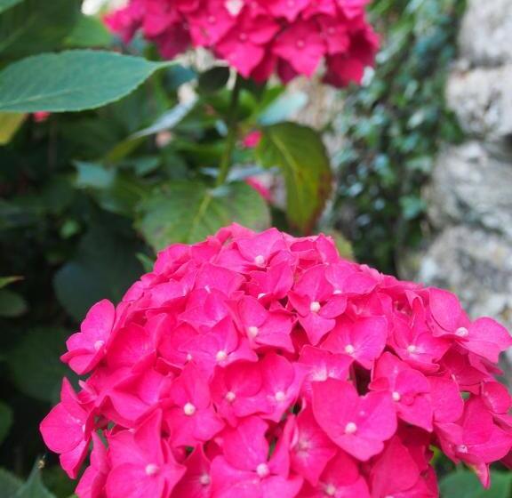 צימר Prieure St Pierre De La Luthumiere