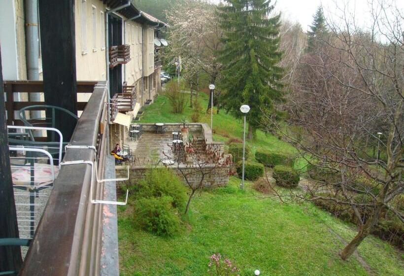 בית מלון כפרי балнеохотел люляци