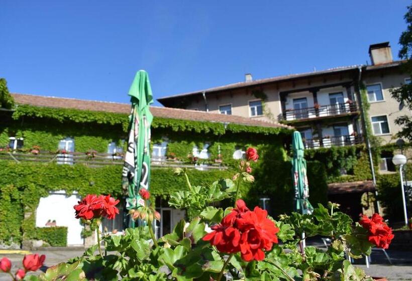 בית מלון כפרי балнеохотел люляци