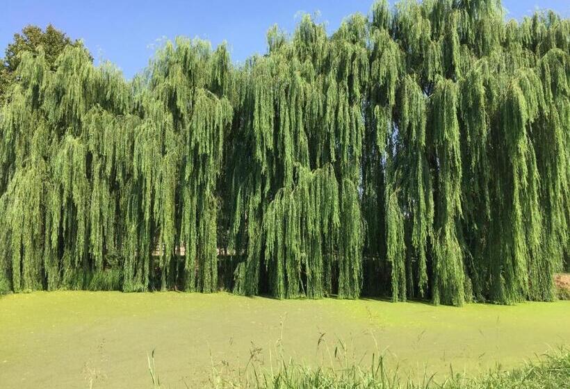 Отель Agriturismo Tenuta La Pila