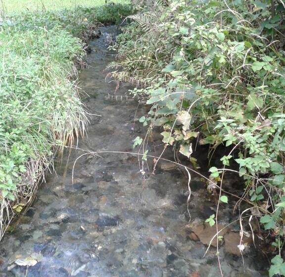 בית מלון כפרי Albergo Croce Bianca