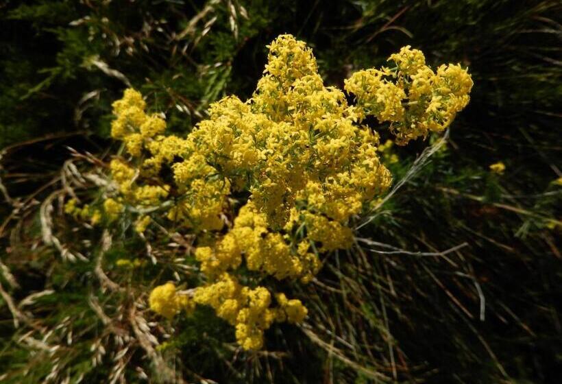 호텔 Albergo Du Soleil