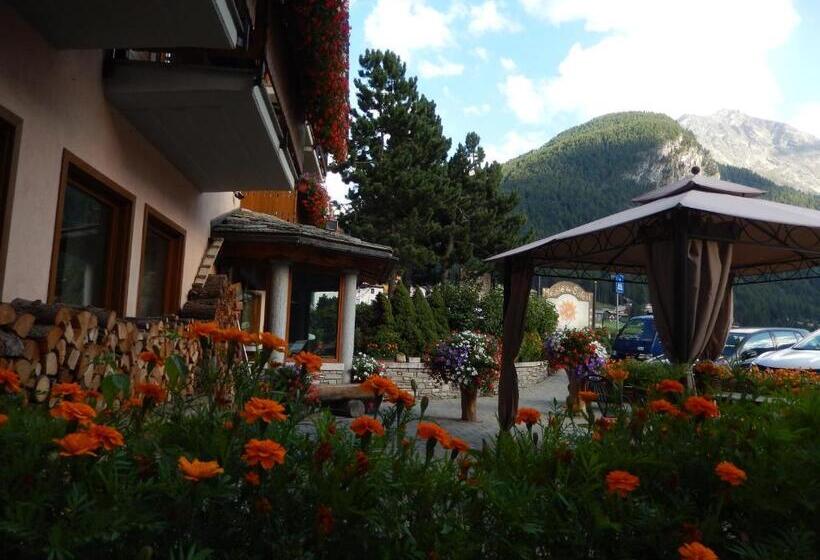 Отель Albergo Du Soleil