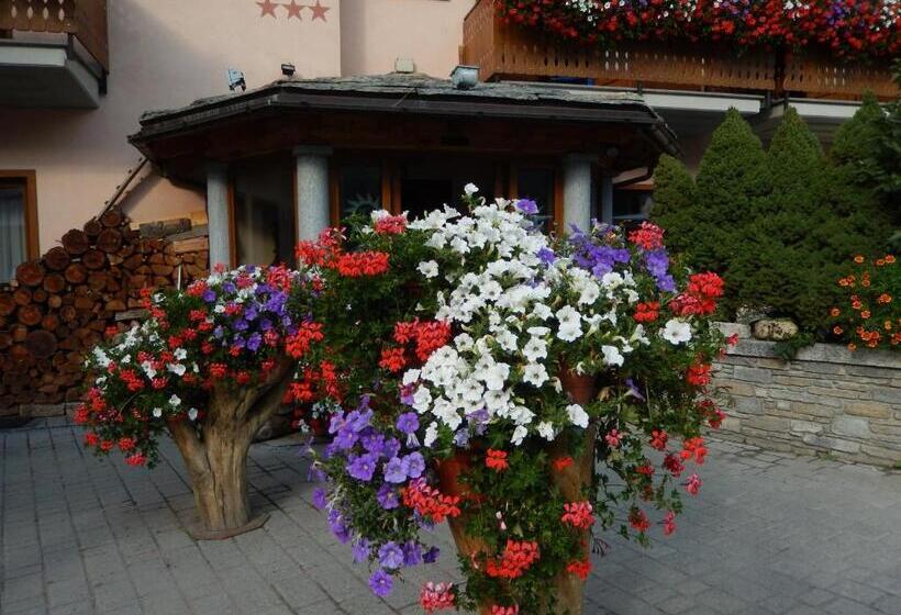 Отель Albergo Du Soleil