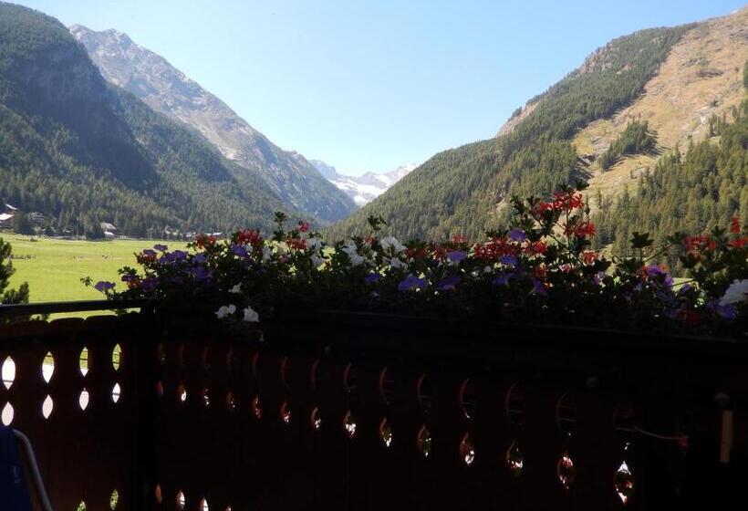 Отель Albergo Du Soleil