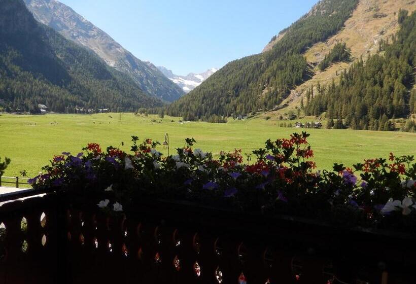 호텔 Albergo Du Soleil