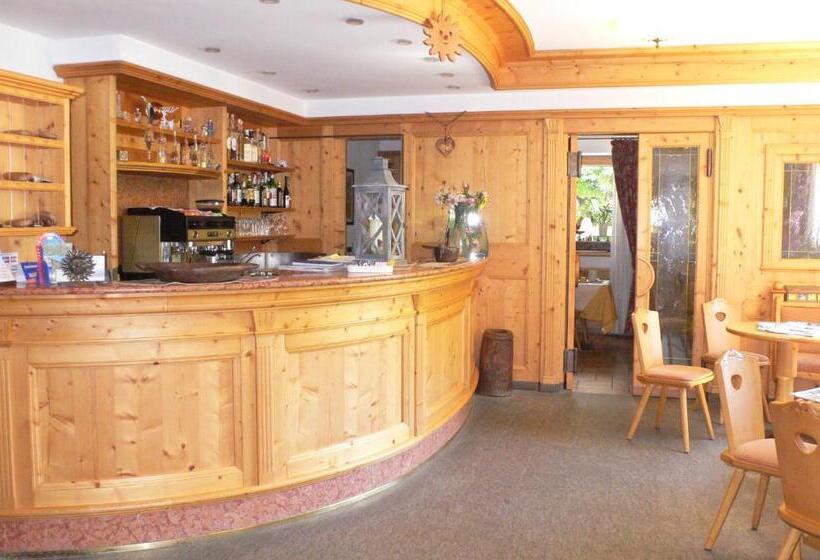 호텔 Albergo Du Soleil