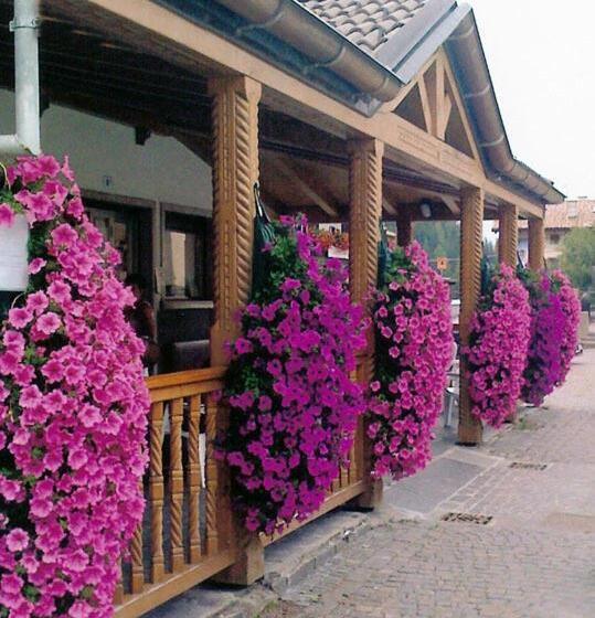 בית מלון כפרי Albergo Montecroce