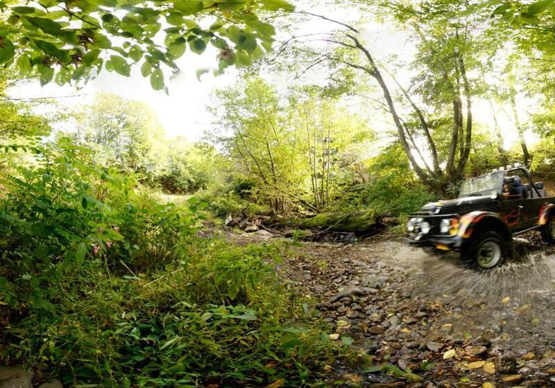 בית מלון כפרי At John S