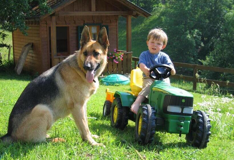 ホテル Bauernhof Haim Schnepfleitner