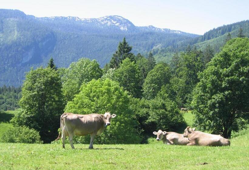 ホテル Bauernhof Haim Schnepfleitner