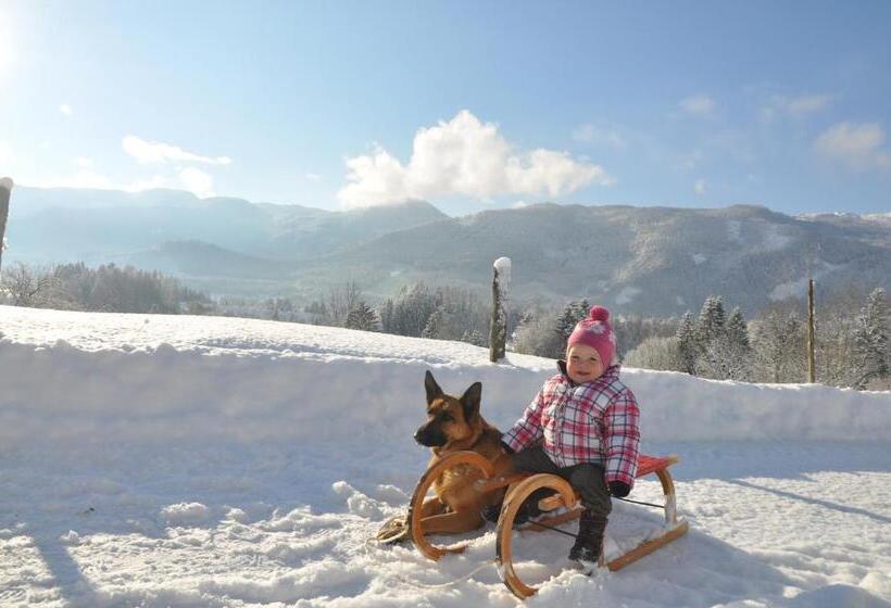 ホテル Bauernhof Haim Schnepfleitner