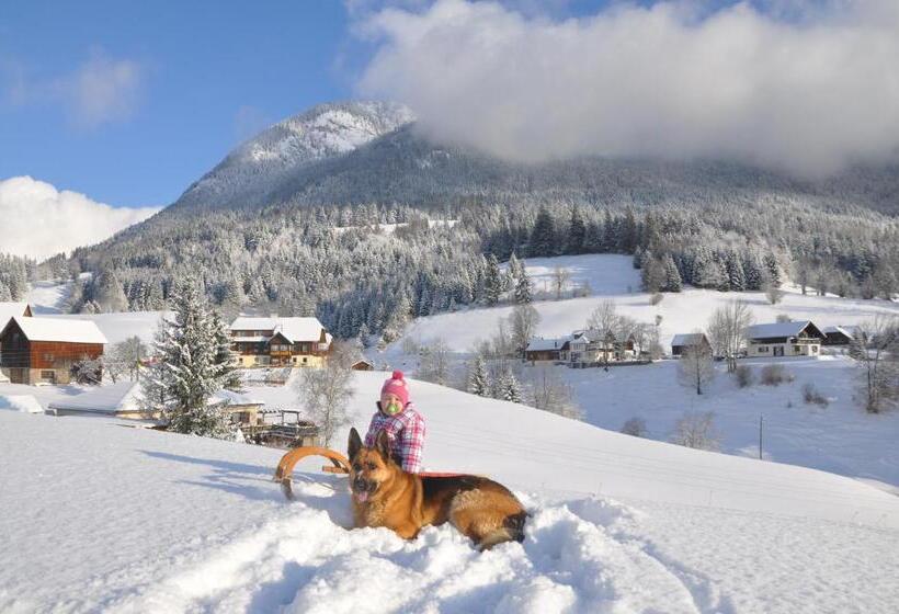 ホテル Bauernhof Haim Schnepfleitner