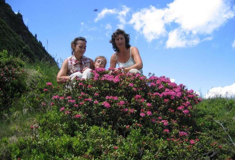 هتل Bauernhof Haim Schnepfleitner