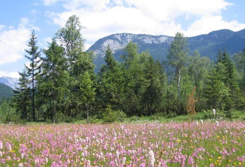 ホテル Bauernhof Haim Schnepfleitner